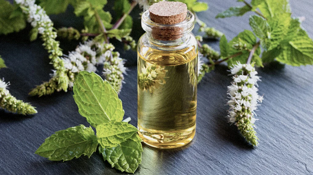 Peppermint Essential Oil Natural Knows