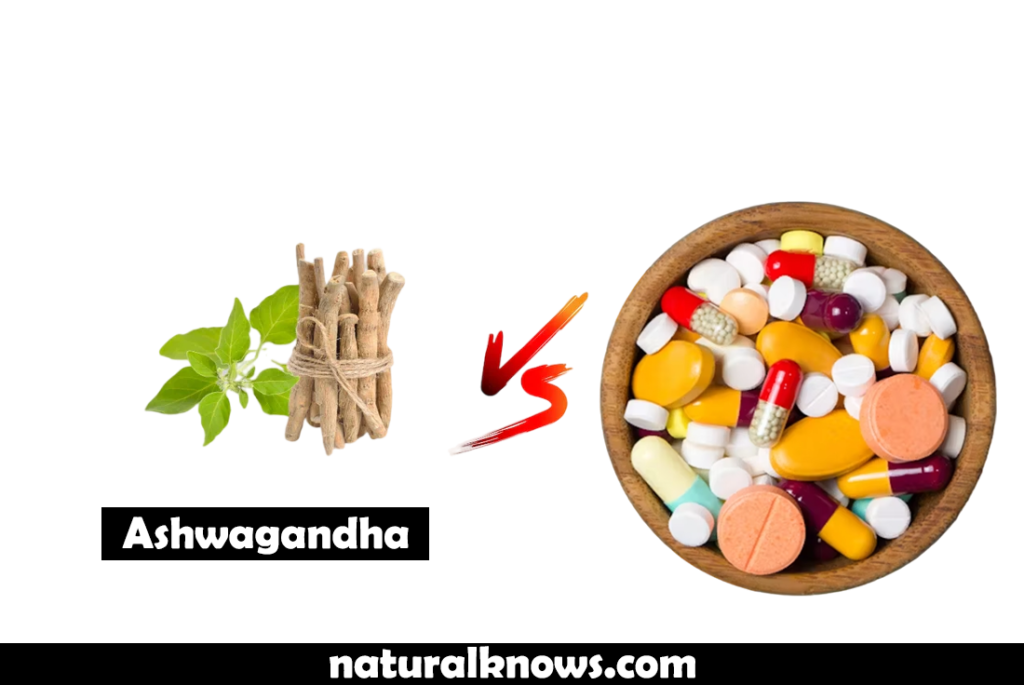 Ashwagandha vs. Modern Medicine