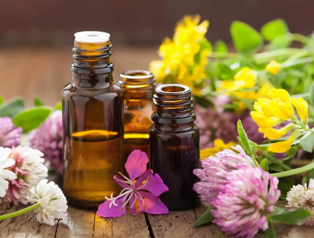 Bach Flower Remedies to Reduce Performance Anxiety in Musicians
