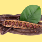 7 Reasons Carob is a Gut Health Powerhouse You Shouldnt Ignore