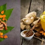 Haldi Turmeric vs Ginger Comparing Their Health Benefits and Uses