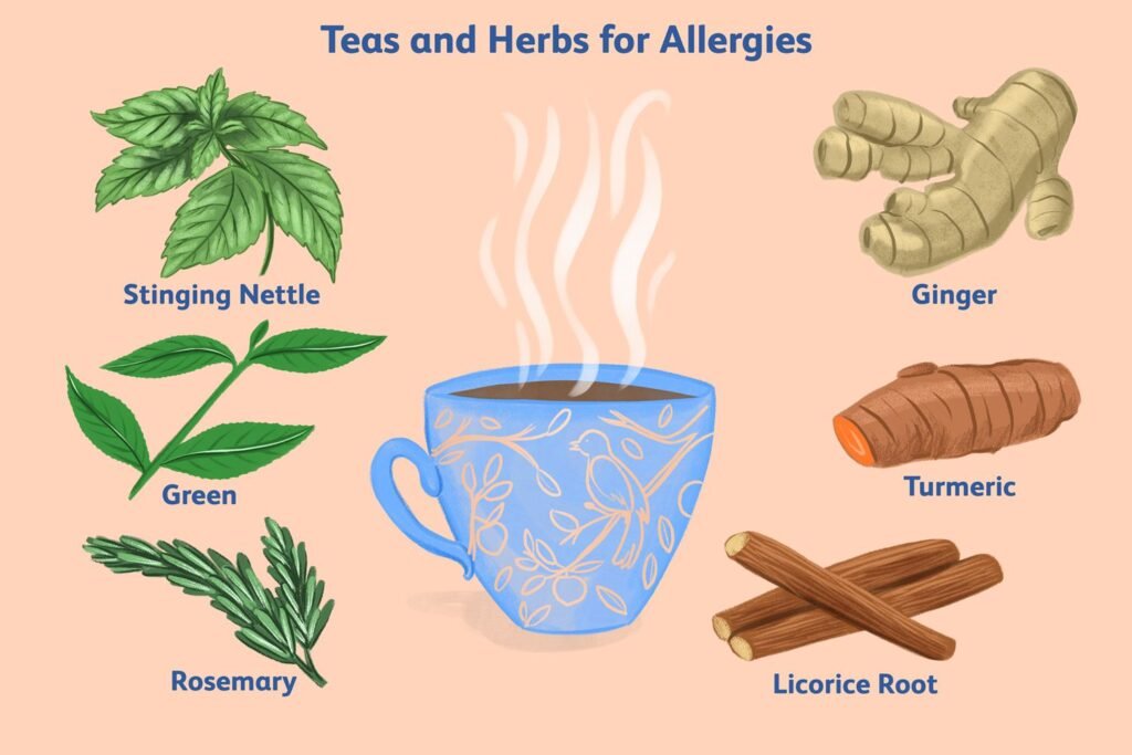 Herbal Tea Blends for Seasonal Allergy Relief in Spring and Fall: A Natural Solution