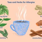 Herbal Tea Blends for Seasonal Allergy Relief in Spring and Fall A Natural Solution