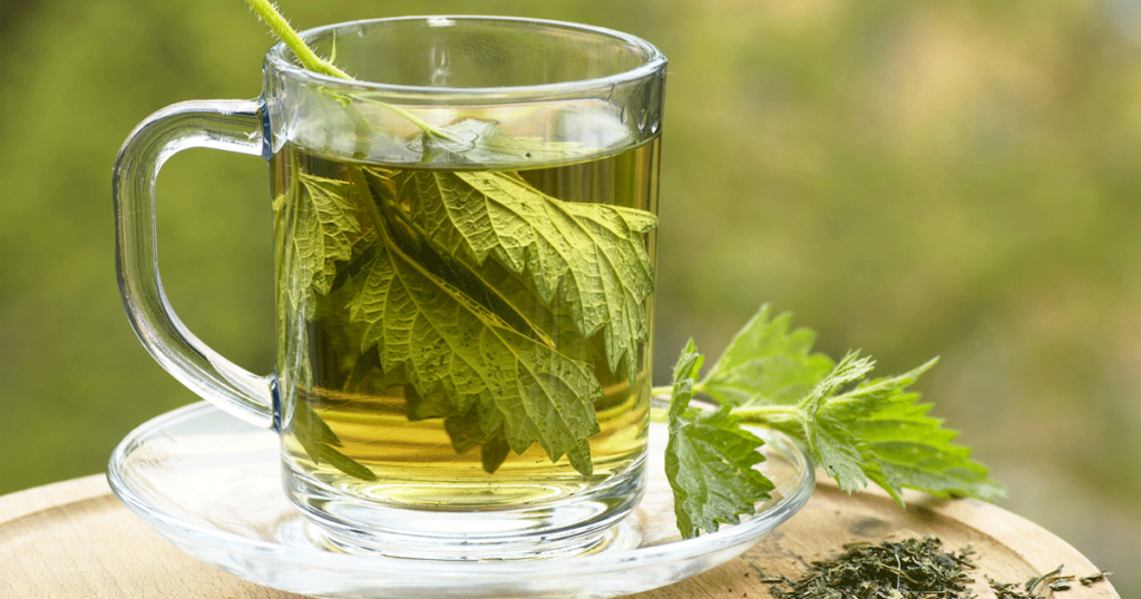 Nettle: A Natural Antihistamine