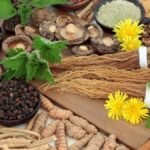 How Adaptogenic Herbs Like Ashwagandha Reduce Stress Naturally