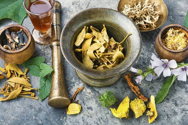 Adaptogens for PTSD Recovery: Rhodiola and Ashwagandha