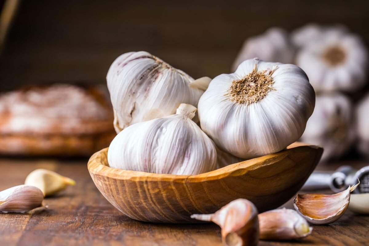 Garlic Natures Most Trusted Antibiotic