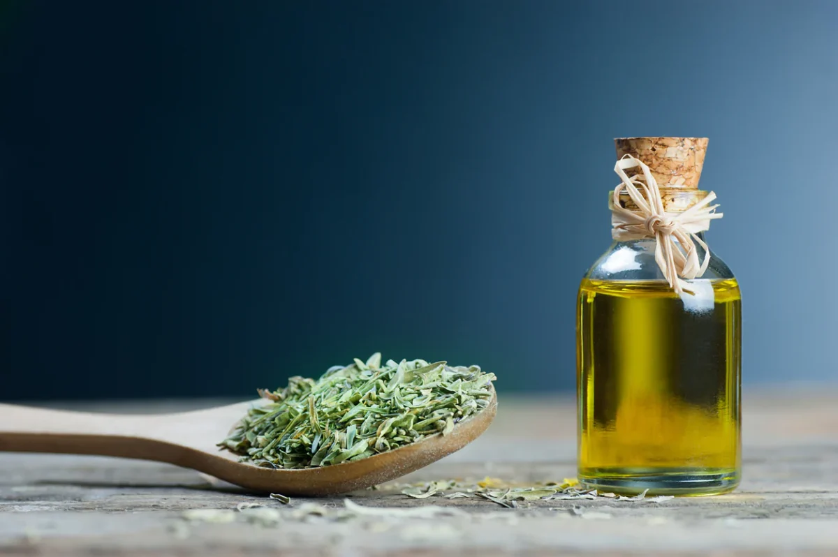 Oregano Oil The Ultimate Antimicrobial