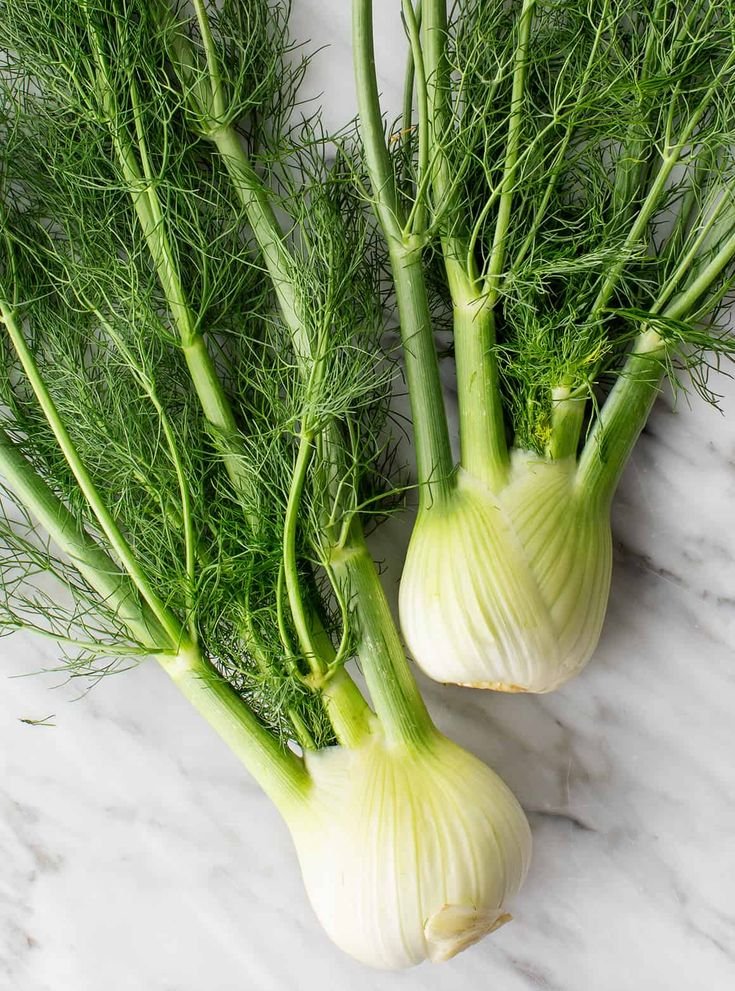 Fennel Natural Knows Fennel Relieving Bloating and Gas Naturally
