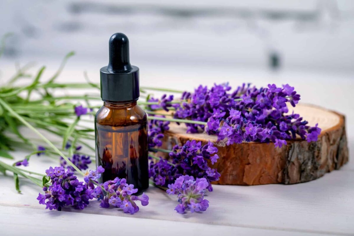 Lavender Oil for Migraine Relief