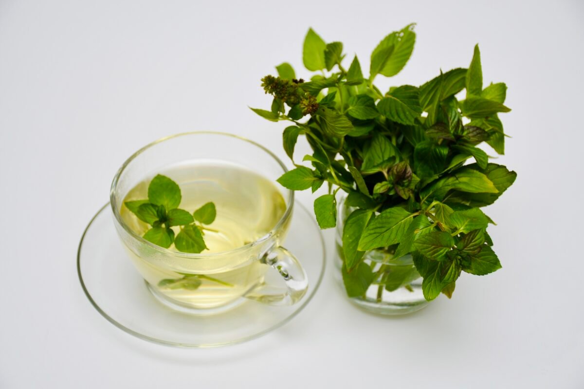 basil herbal tea
