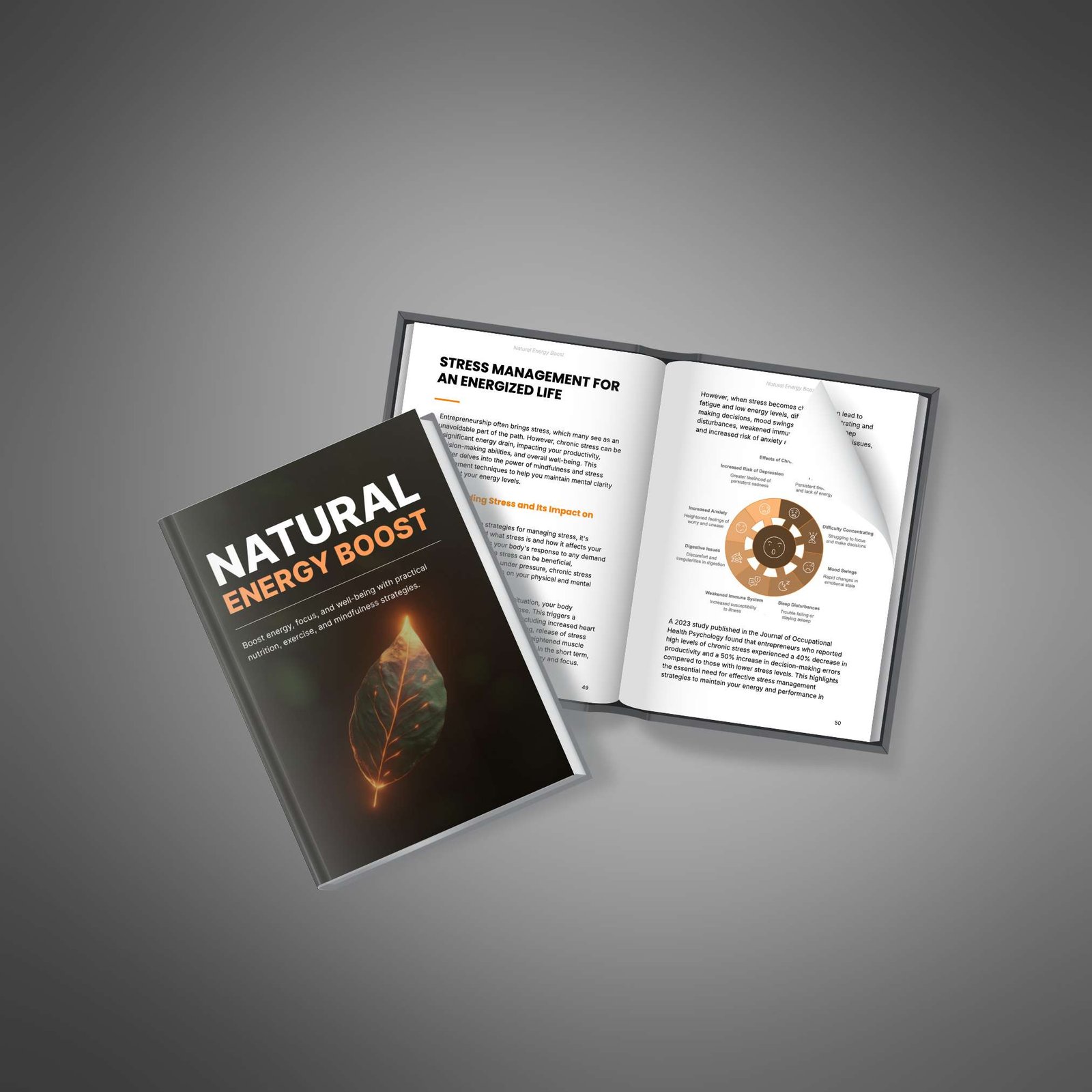 Natural Energy Boost Book4 1 Natural Knows