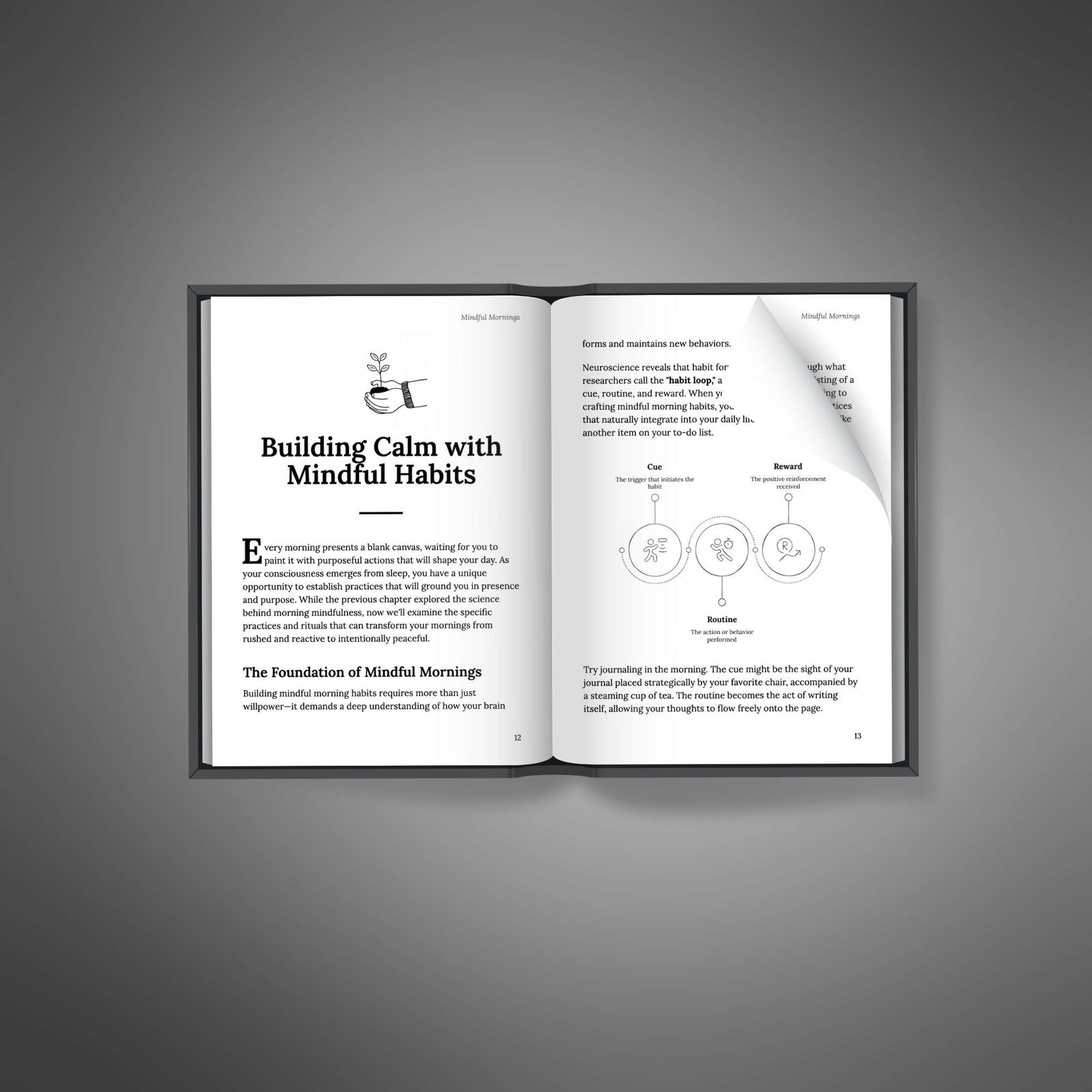 The Power of Mindful Mornings Book2 Natural Knows