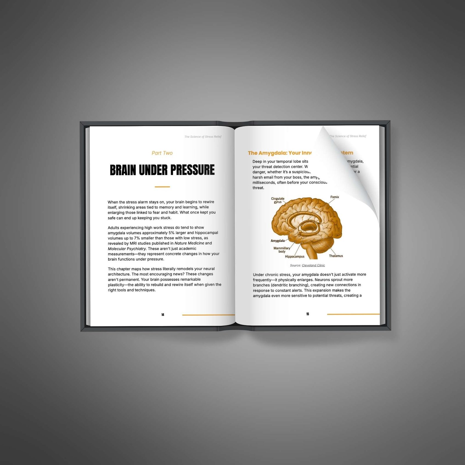 TheScienceofStressReliefEbook2 Natural Knows